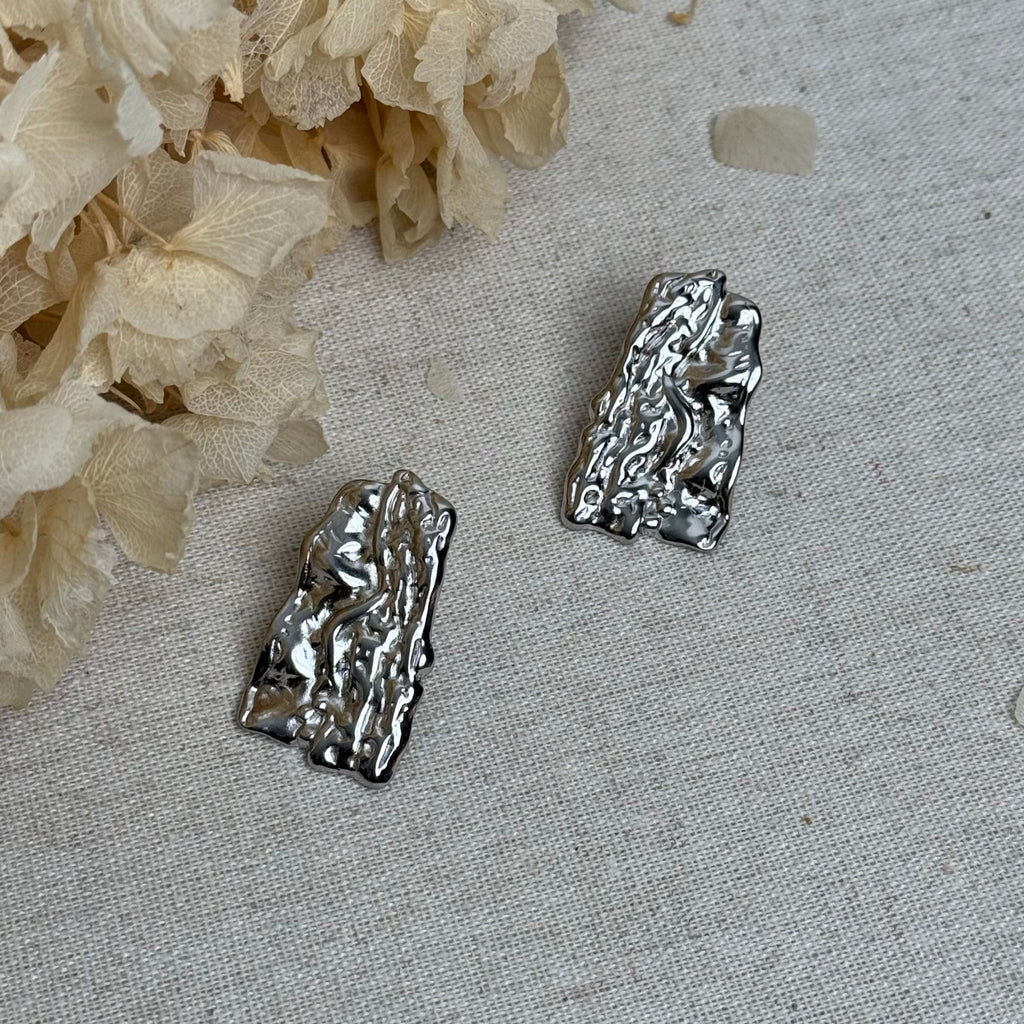 Boucles Nipsss argentées -Takkay Paris