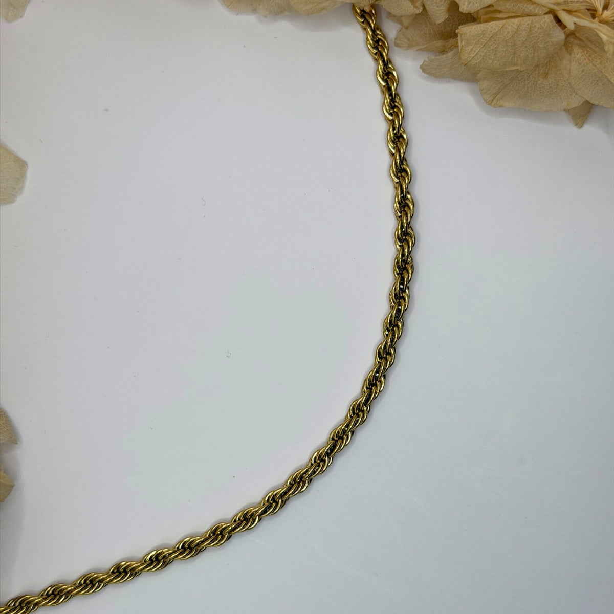 CHAÎNE DE CHEVILLE TIMISS